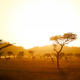 Image for article titled Studying Abroad in Africa Is a Woman's Game